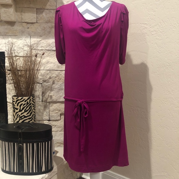 EUC Belted Sheath Dress - Picture 1 of 5